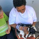 Projeto Cãoamor promove interação de idosos com cães
