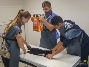 Hospital Veterinário recebe raio-x digital