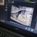 Hospital Veterinário recebe raio-x digital